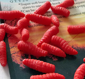 Enterprise Sinking Maggots