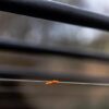 FOX MARKER ELASTIC